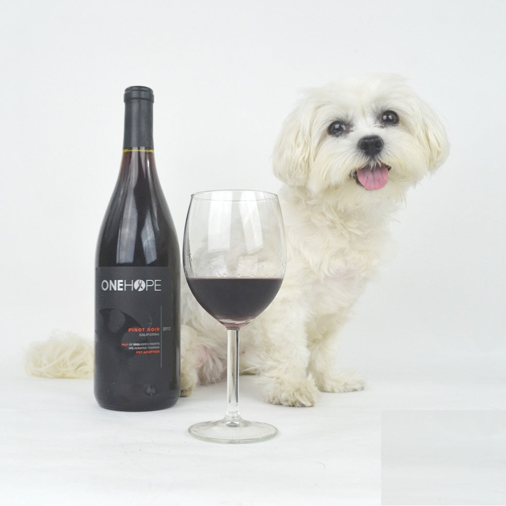 Is red wine bad for dogs best sale